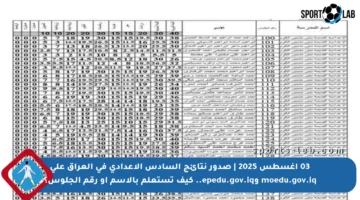 03 أغسطس 2025 | صدور نتائج السادس الإعدادي في العراق على moedu.gov.iq وepedu.gov.iq.. كيف تستعلم بالاسم أو رقم الجلوس؟